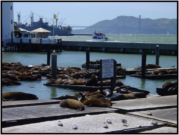 site: water: ocean : s-dsc025366.jpg