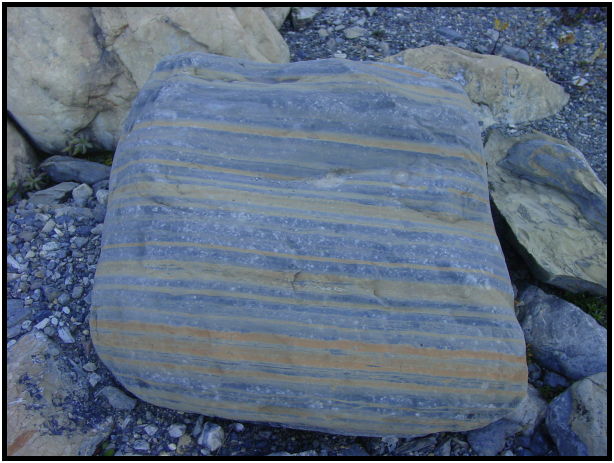 place: Canada: British Columbia: Mount Robson: Snowbird Trail : s-dsc028183.jpg