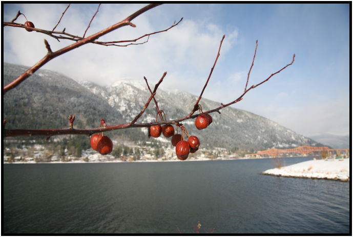site: earth: snow : s-IMG_0082.jpg