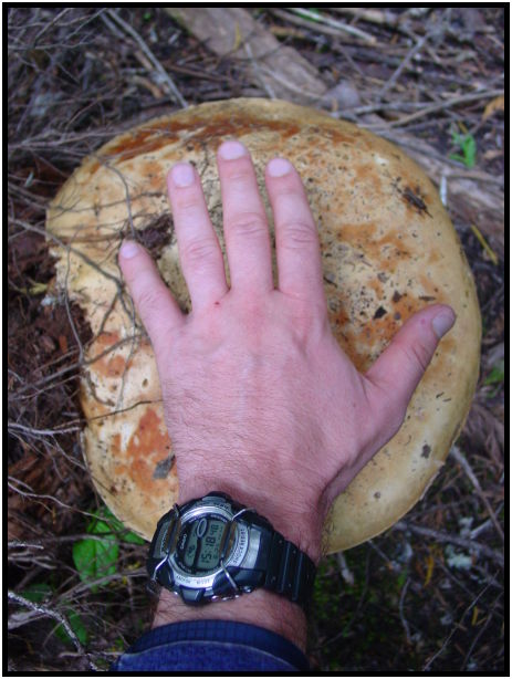 person: body: hand : s-dsc027885.jpg