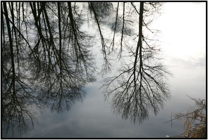 place: Canada: British Columbia: Vancouver: Burnaby Lake : s-IMG_0956.jpg