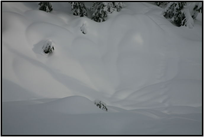 place: Canada: British Columbia: Vancouver: Hollyburn Mountain : s-IMG_0965.jpg