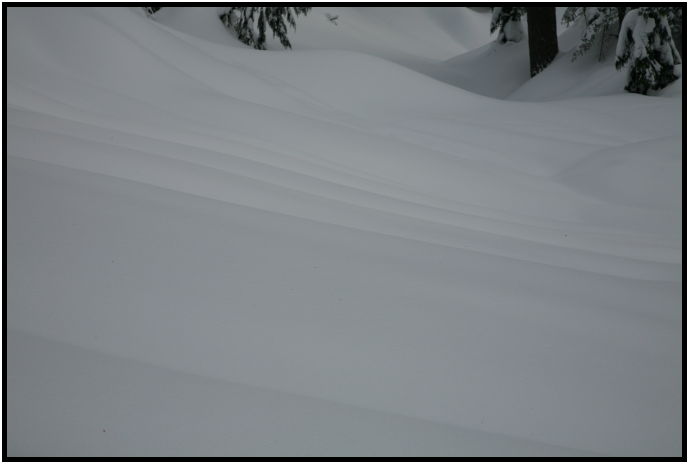 place: Canada: British Columbia: Vancouver: Hollyburn Mountain : s-IMG_0975.jpg