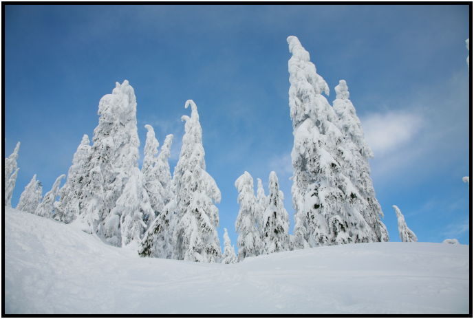 site: earth: snow : s-IMG_1078.jpg