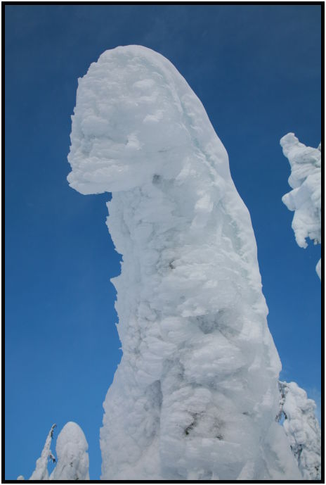site: earth: snow : s-IMG_1095.jpg