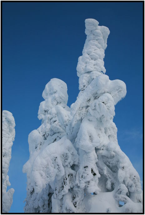 place: Canada: British Columbia: Vancouver: Hollyburn Mountain : s-IMG_1099.jpg