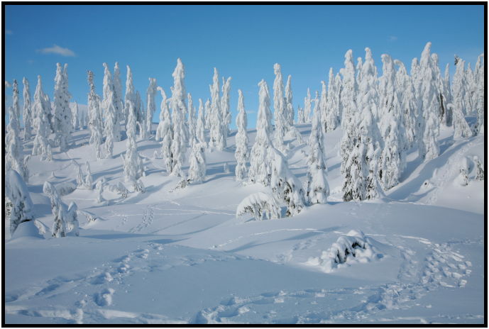 place: Canada: British Columbia: Vancouver: Hollyburn Mountain : s-IMG_1110.jpg