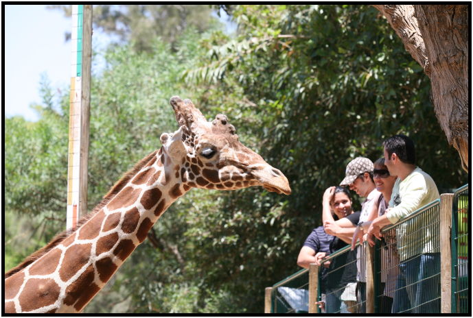 place: Israel: Tel Aviv: Tel Aviv Safari : s-IMG_3097.jpg