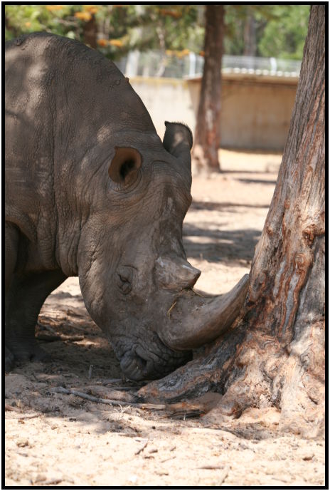 place: Israel: Tel Aviv: Tel Aviv Safari : s-IMG_3285.jpg