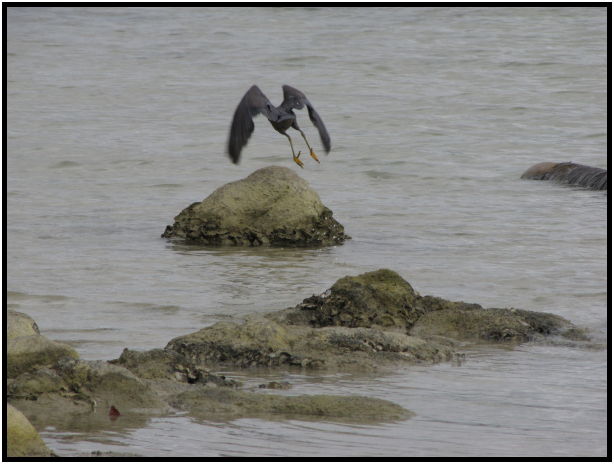 place: Thailand: Koh Phangan : s-IMG_0500.jpg