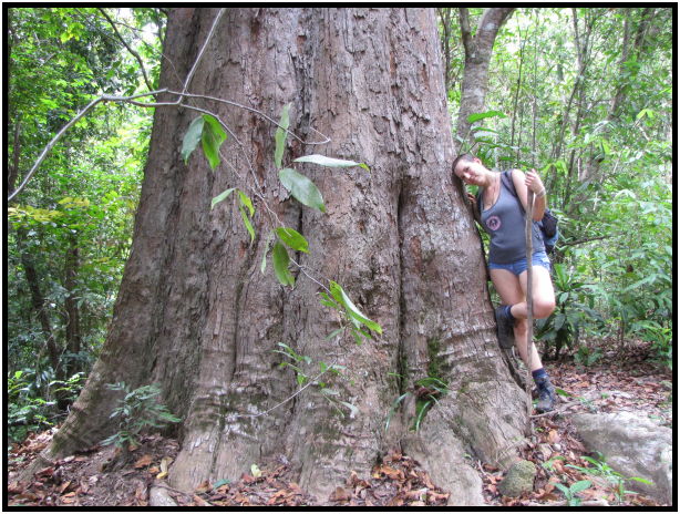 place: Thailand: Koh Phangan : s-IMG_1027.jpg