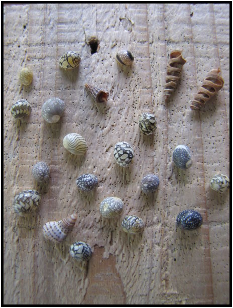 place: Thailand: Koh Phangan : s-IMG_0812.jpg