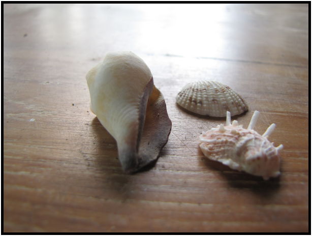 place: Thailand: Koh Phangan : s-IMG_0832.jpg