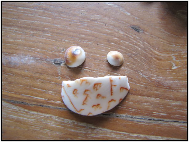 place: Thailand: Koh Phangan : s-IMG_0841.jpg