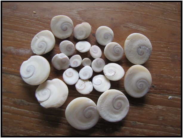 place: Thailand: Koh Phangan : s-IMG_0843.jpg