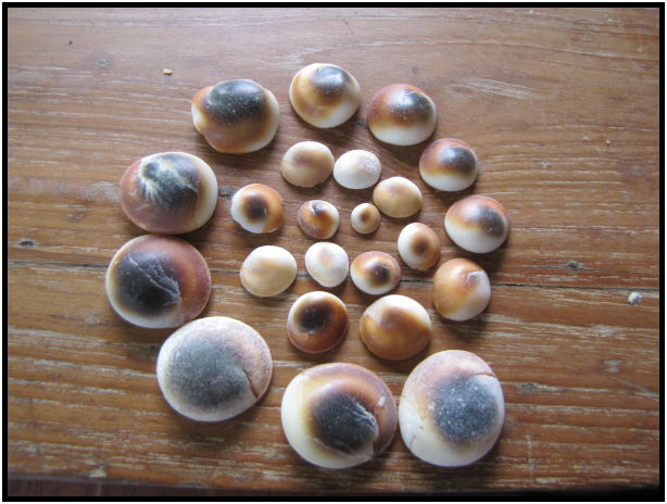 place: Thailand: Koh Phangan : s-IMG_0846.jpg