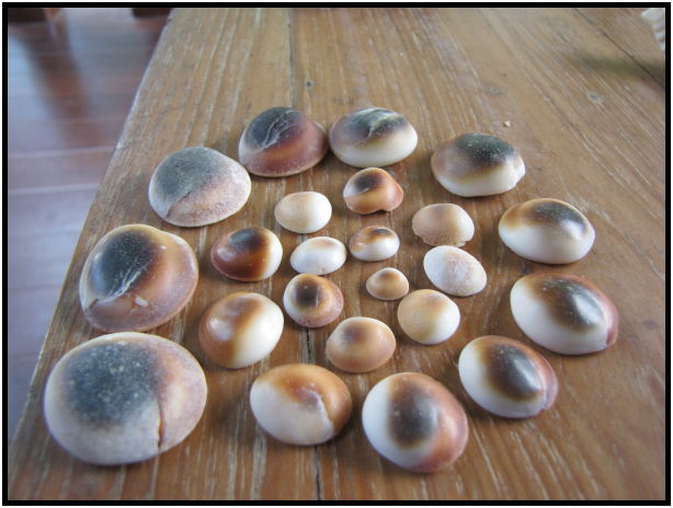 place: Thailand: Koh Phangan : s-IMG_0848.jpg